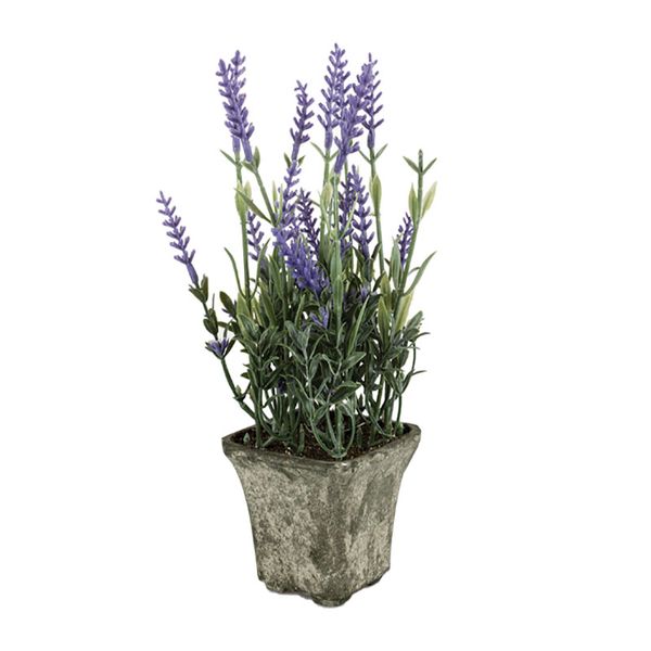 Flower-In-Pot Plastic Lavender 25cm