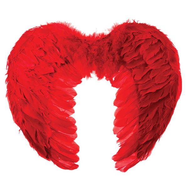 Feathery Dress Up Wings