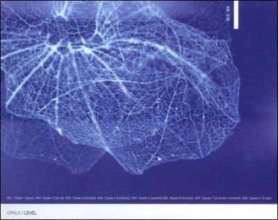 Opale - Level (CD)