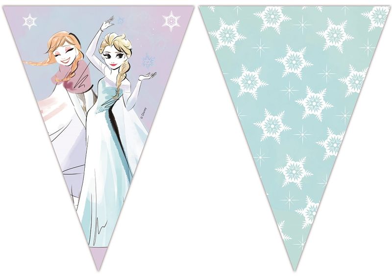 Frozen Sparkle Triangle Flag Banner