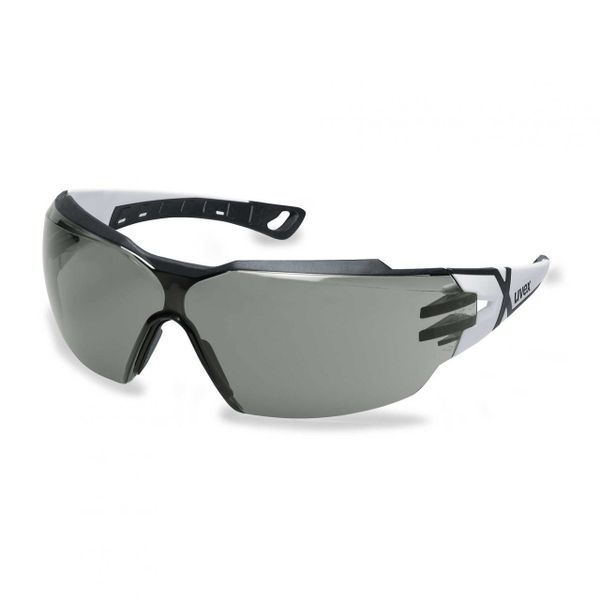 uvex Pheos Guard Grey Safety Eyewear