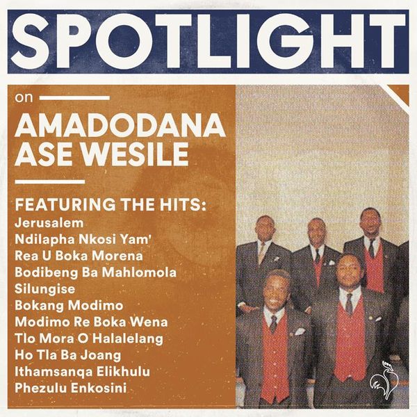 Spotlight On Amadodana Ase Wesile (CD)