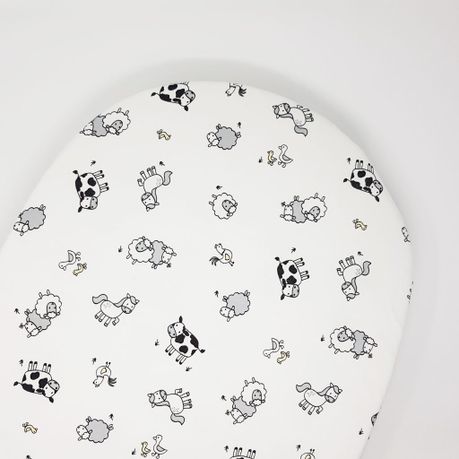 moses basket takealot