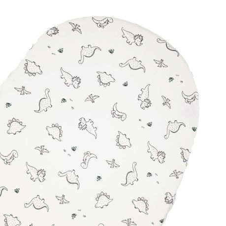 moses basket takealot