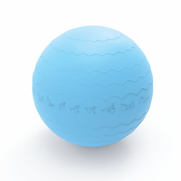 Medalist Pure 65cm Gym Ball