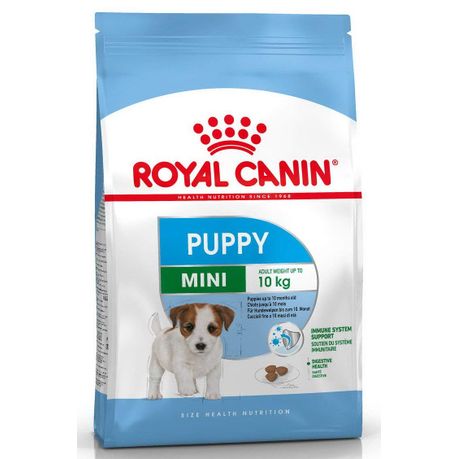 royal canin dental mini