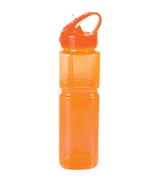 Bulk Pack x 2 Water Bottle 700ml