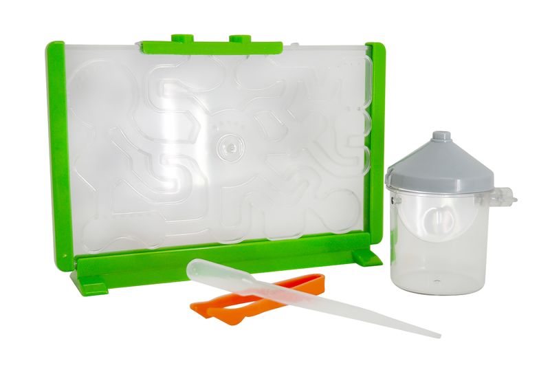 Play Ant Farm Discovery