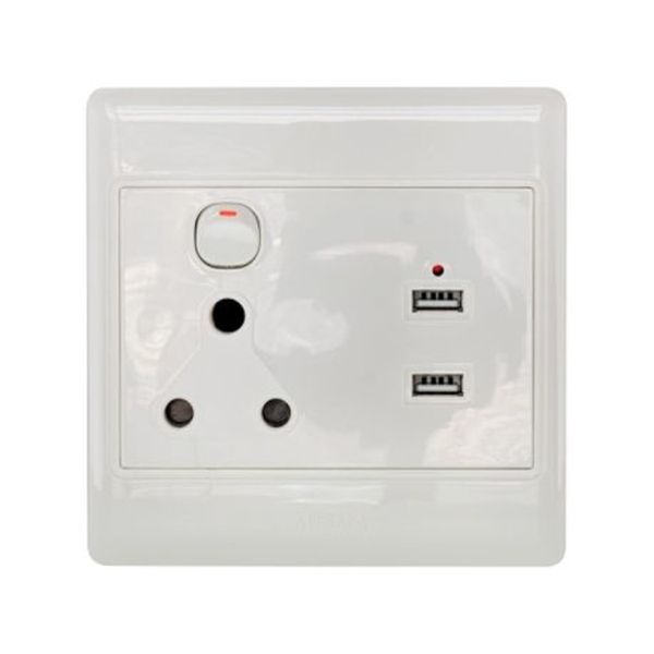 Single Switched Socket Outlet with 2 USB Charger