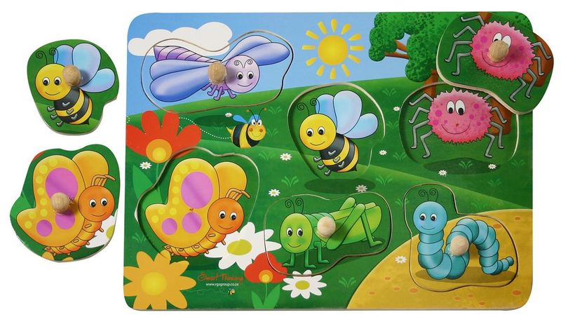 RGS Group Bugs Peg Puzzle
