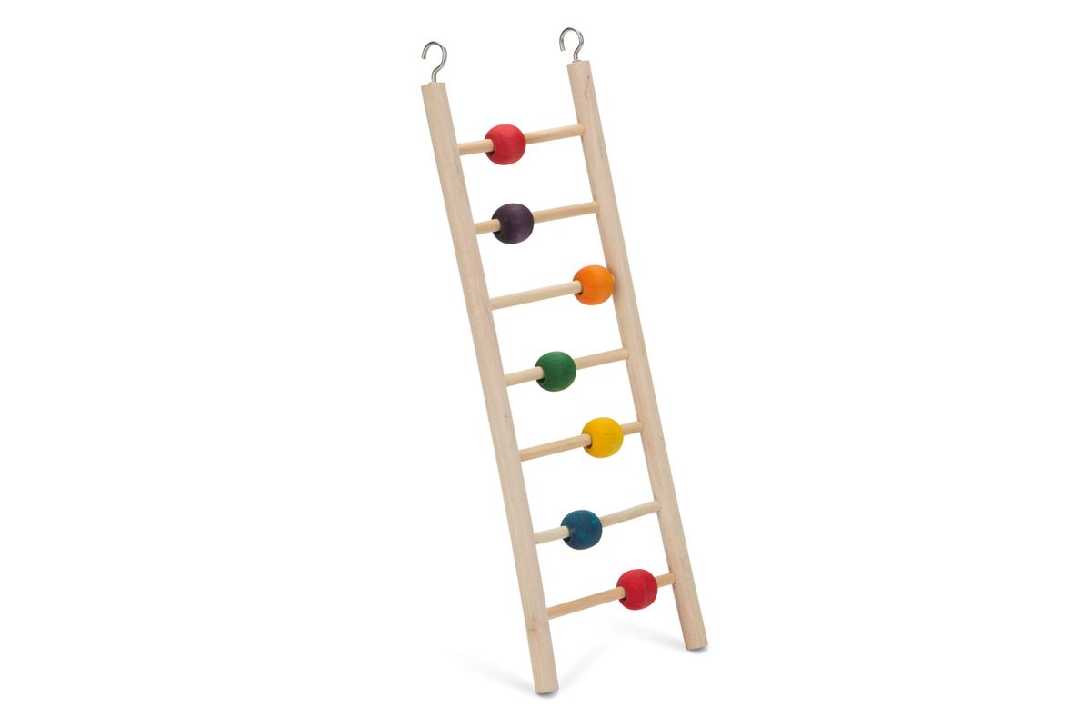 bird toy ladder