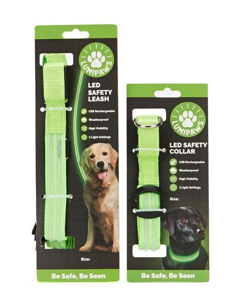 Dog Collar and Dog Leash - Green Small