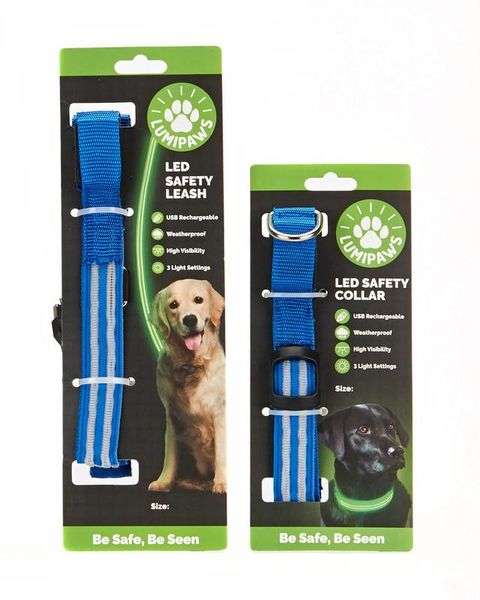 Dog Collar and Dog Leash - Blue Large