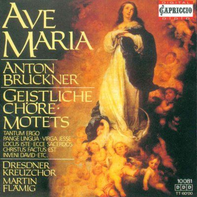 Martin Flamig - Bruckner: Sacred Motets Ave Maria (CD)
