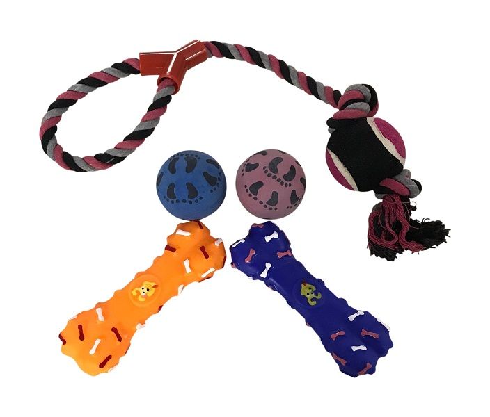 Bundle of 5 Dog Toys Shop Today. Get it Tomorrow!