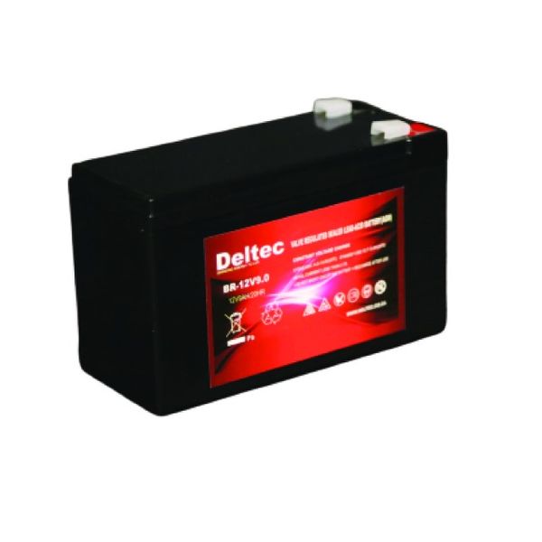 12V9Ah Battery
