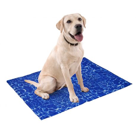 Pet Cooling Mat Blue Waves Xl Buy Online In South Africa Takealot Com