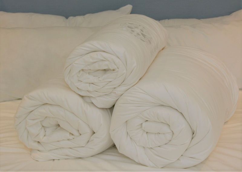 Cocoon Bedding 100% Mulberry Silk Filled FourSeason Duvet w/t Cotton Casing