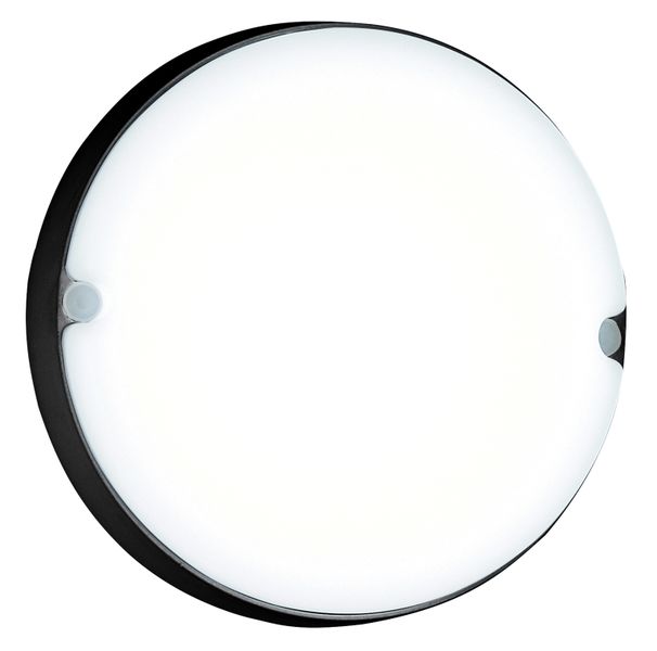 9 Watt LED Cool White Bulk Head With Round Polypropylene Cover