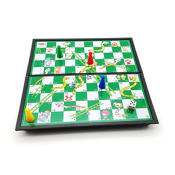 Magnetic Snakes and Ladders board game