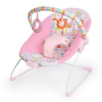 takealot baby bouncer