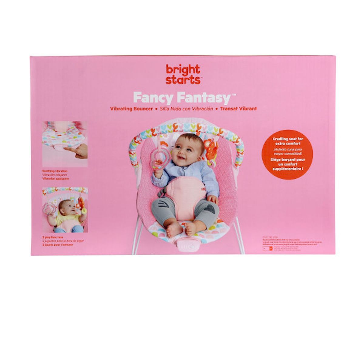 Bright starts fanciful 2024 flowers vibrating bouncer