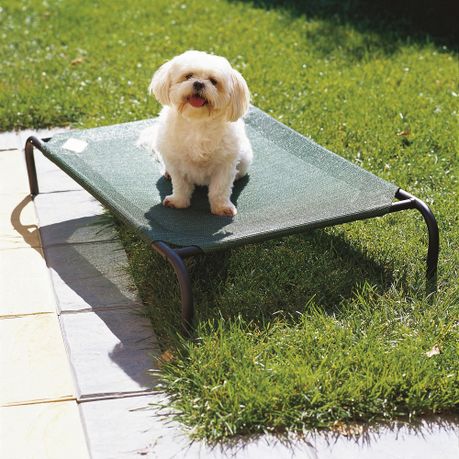 takealot dog beds