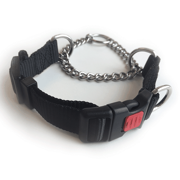 Mpet Kombi Dog Collar - XL
