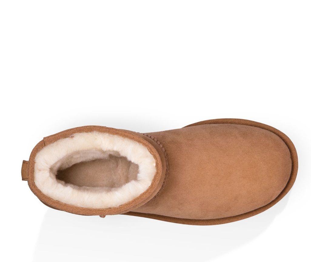 UGG Classic Mini II Chestnut | Shop Today. Get it Tomorrow