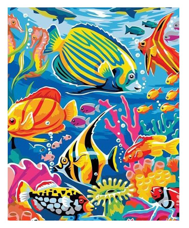Paint by Numbers for Adults Coral Kingdom Buy Online in South