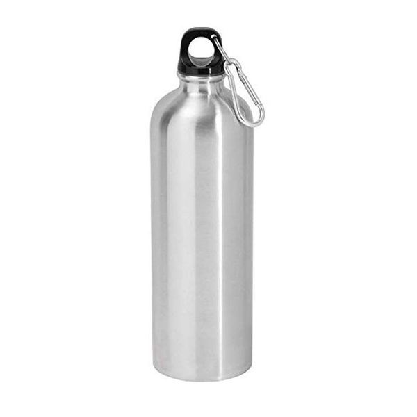 Steel 500ml Water Bottle with Carabiner Clip