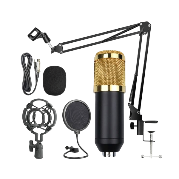 Bunker M800 Professional Condenser Microphone | Shop Today. Get it ...