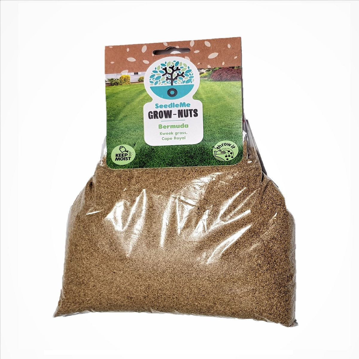 Seedleme Cape Royal Bermuda Lawn Grass Seed Box 200g Shop Today