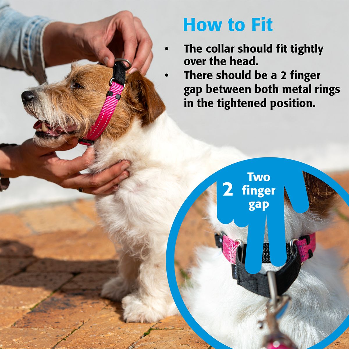 Anti bark clearance collar takealot