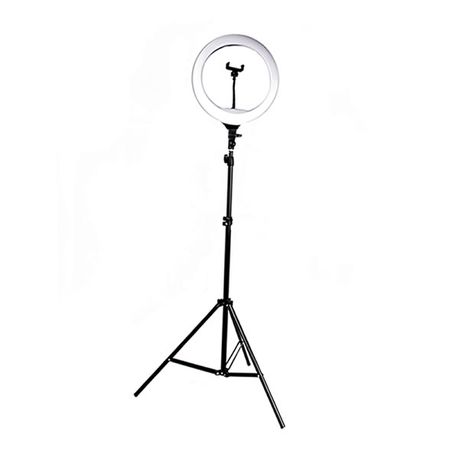 Fleek 14 inch Ring Light YQ-360B With Light Stand Light Kit Image