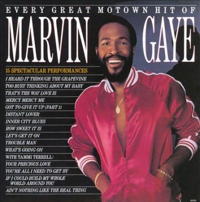 Marvin Gaye - Every Great Hits (CD)