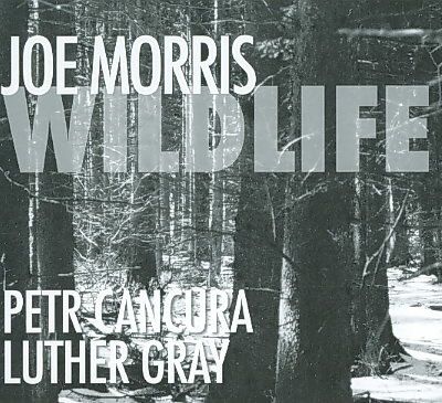 Joe Morris - Wildlife (CD)