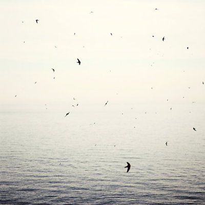 On - Your Naked Ghost Comes Back At Night (CD)