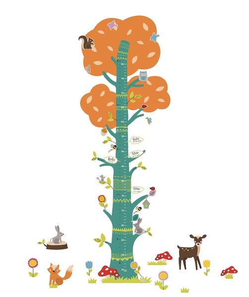 Fiesta Crafts Nature Height Chart