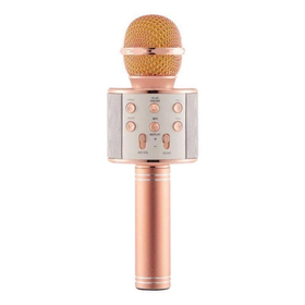 Wireless Bluetooth Karaoke Microphone & Speaker | Shop Today. Get it ...