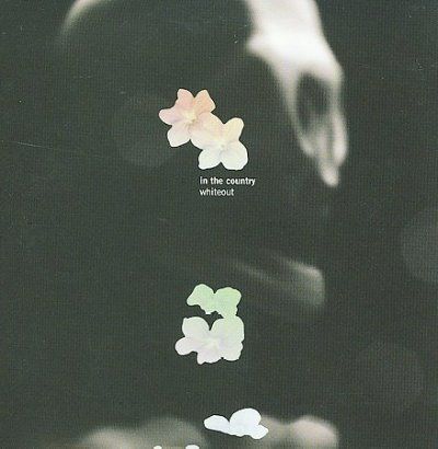 In The Country - Whiteout (CD)