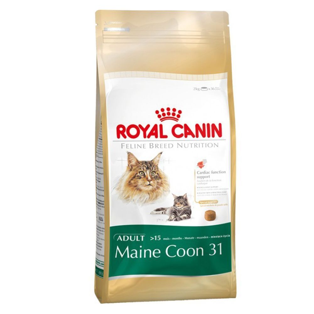 Royal canin maine coon 10kg hot sale best price