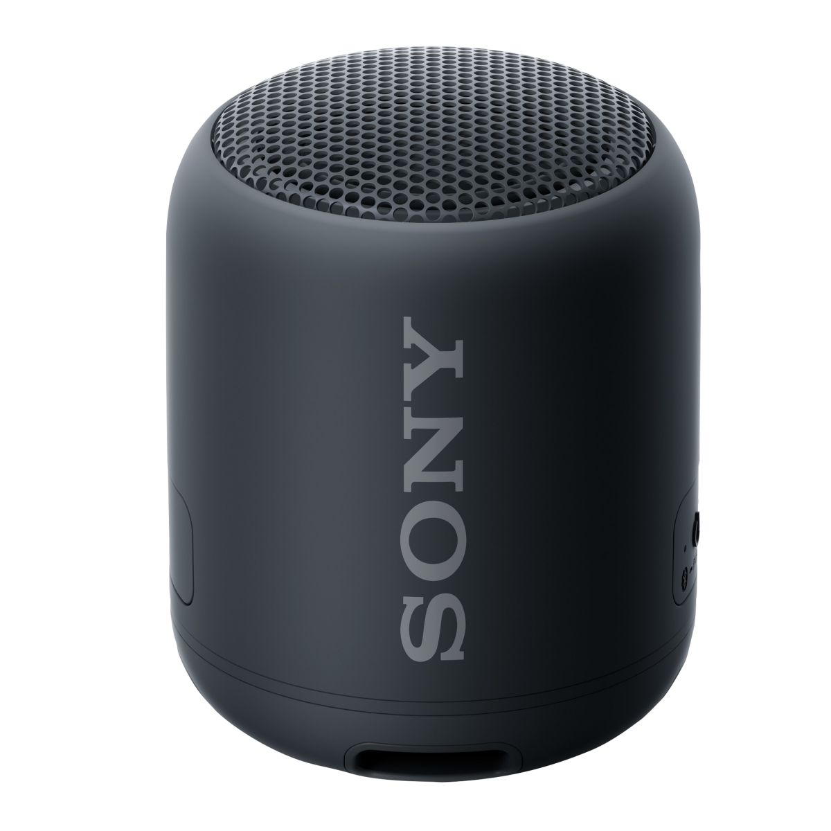 Sony Portable Wireless Bluetooth 