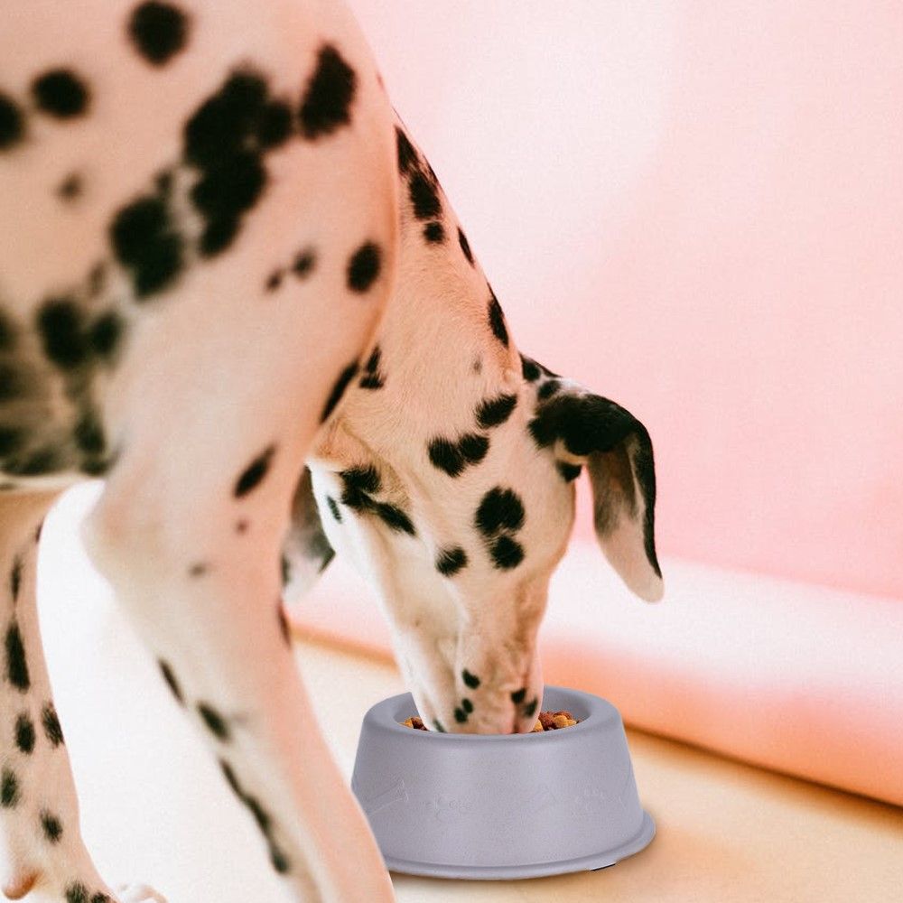 Eco Dog Bowl with antislip rubber ring Shop Today. Get it