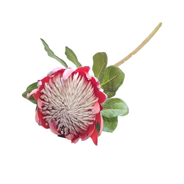 Artificial Lifelike King Protea Rusty Rose Pink 75cm by Seedleme