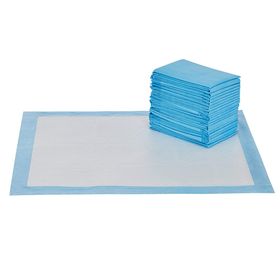 SkyDeals Puppy Training Pads Pack of 60 | Shop Today. Get it Tomorrow ...