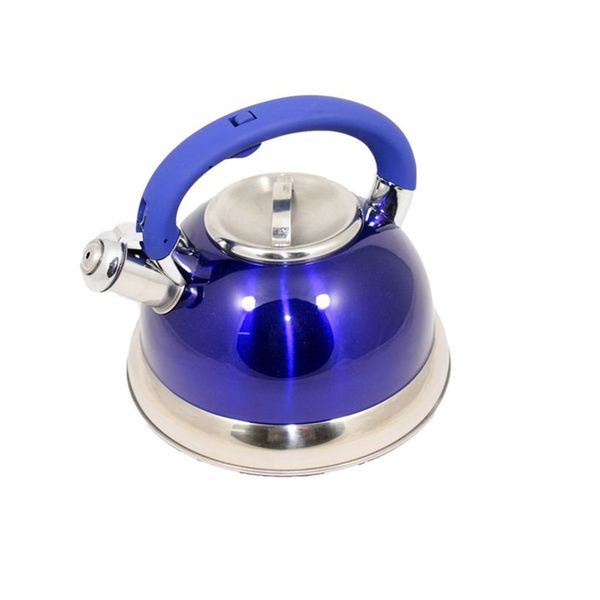 3.0L Stainless Steel Whistling Kettle - Blue