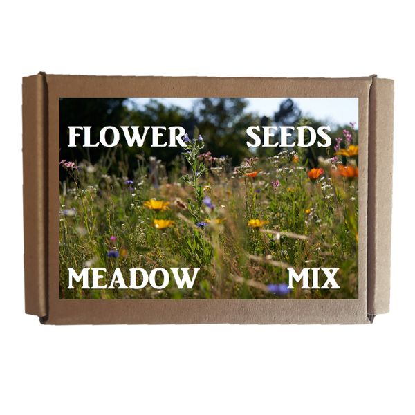 Seedleme Bulk Flower seed box