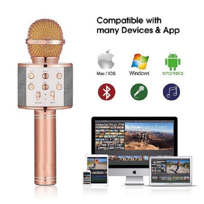 Fervour Wireless Portable Bluetooth Karaoke Microphone | Shop Today ...