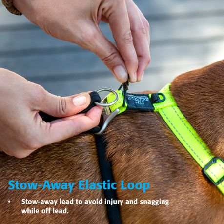 Rogz no hot sale pull harness